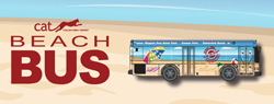 Beach Bus icon
