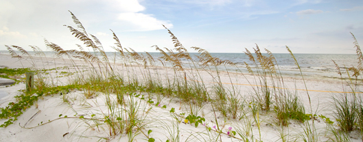 Beach photo by Rod Wiley