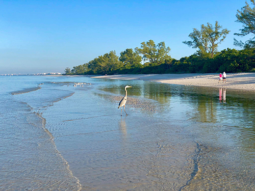 Beach photo by Rod Wiley