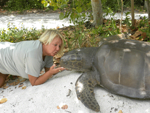 Name the Loggerhead Contest