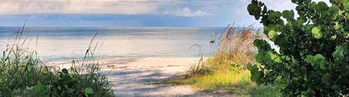 Beach photo by Rod Wiley